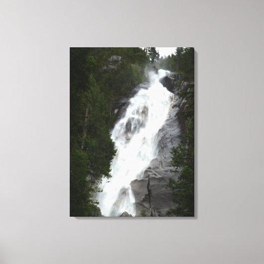 Waterval Kunstprint Shannon Falls BC Kunst Canvas Afdruk (Voorkant)