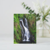 Waterval, kust van Hamakua, Hawaii Briefkaart (Staand voorkant)