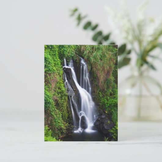 Waterval, kust van Hamakua, Hawaii Briefkaart (Staand voorkant)