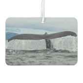 Waterval Luchtverfrisser (Achterkant)