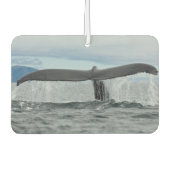 Waterval Luchtverfrisser (Voorkant)