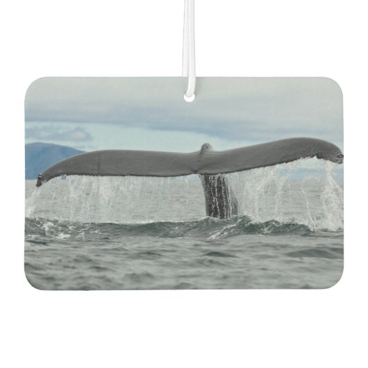 Waterval Luchtverfrisser (Voorkant)