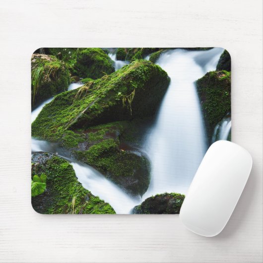 waterval muismat (Met muis)