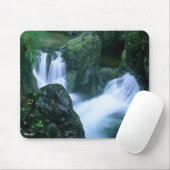 Waterval Muismat (Met muis)