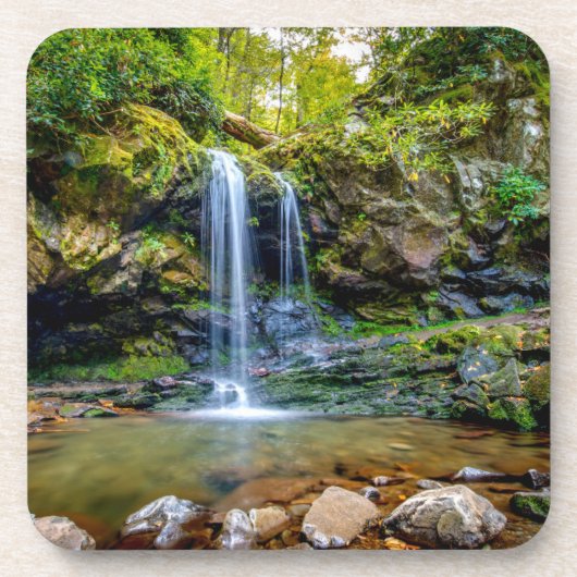 Waterval | Nationaal park Smokey Mountain Bier Onderzetter (Voorkant)