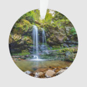 Waterval | Nationaal park Smokey Mountain Ornament (voorkant)
