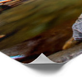 Waterval | Nationaal park Smokey Mountain Poster (Hoek)