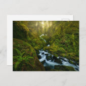 Waterval | Nationaal park van de Olympische Spelen Briefkaart (Voorkant / Achterkant)