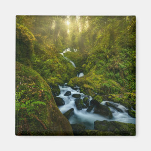 Waterval Nationaal park van de Olympische Spelen Magneet