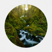 Waterval | Nationaal park van de Olympische Spelen Metalen Ornament (Voorkant)