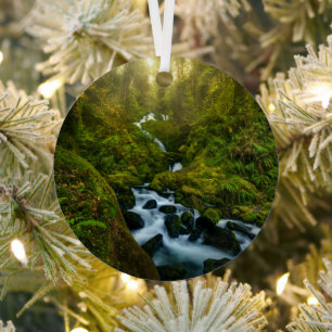 Waterval Nationaal park van de Olympische Spelen Metalen Ornament