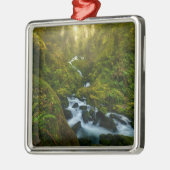 Waterval | Nationaal park van de Olympische Spelen Metalen Ornament (Links)
