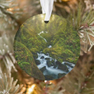 Waterval Nationaal park van de Olympische Spelen Ornament