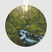Waterval | Nationaal park van de Olympische Spelen Ornament (achterkant)