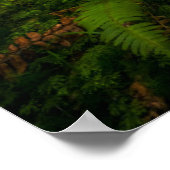 Waterval | Nationaal park van de Olympische Spelen Poster (Hoek)