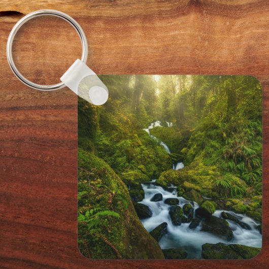 Waterval | Nationaal park van de Olympische Spelen Sleutelhanger (Voorkant)