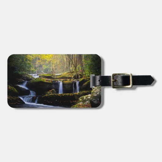 Waterval | Nationaal park van het Grote Smoky Moun Bagagelabel (Voorkant horizontaal)