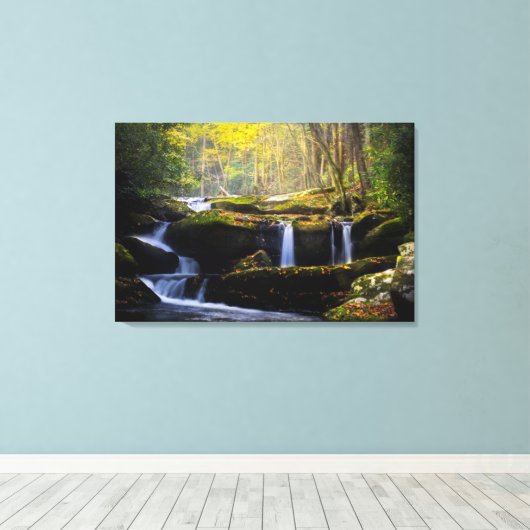 Waterval | Nationaal park van het Grote Smoky Moun Canvas Afdruk (Insitu (Houten vloer))