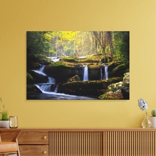 Waterval | Nationaal park van het Grote Smoky Moun Canvas Afdruk (Insitu (Woonkamer))