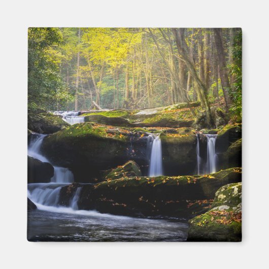 Waterval | Nationaal park van het Grote Smoky Moun Magneet (Voorkant)