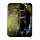 Waterval | Nationaal park van het Grote Smoky Moun Magneet (Verticaal)