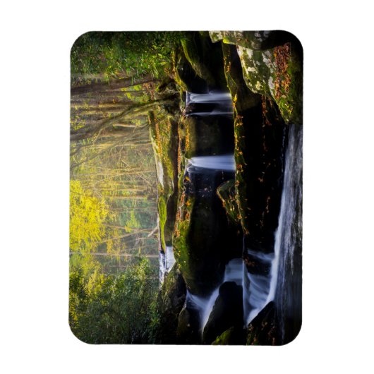 Waterval | Nationaal park van het Grote Smoky Moun Magneet (Verticaal)