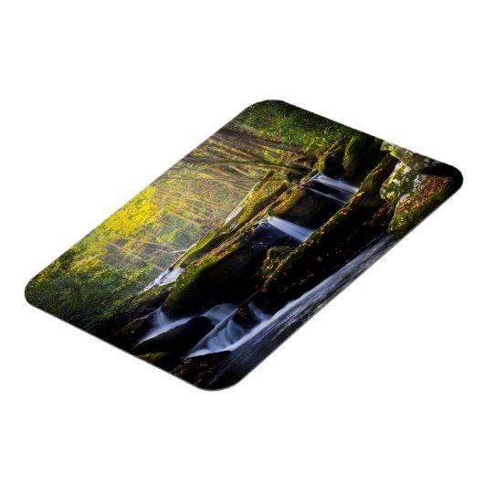 Waterval | Nationaal park van het Grote Smoky Moun Magneet (Linkerzijde)