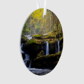 Waterval | Nationaal park van het Grote Smoky Moun Ornament (voorkant)