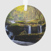 Waterval | Nationaal park van het Grote Smoky Moun Ornament (achterkant)