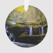 Waterval | Nationaal park van het Grote Smoky Moun Ornament (voorkant)