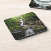 Waterval | Nationaal park van het Phayao-gebergte Bier Onderzetter (Linkerzijde)