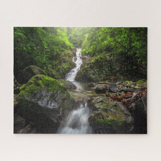 Waterval | Nationaal park van het Phayao-gebergte Legpuzzel (Horizontaal)