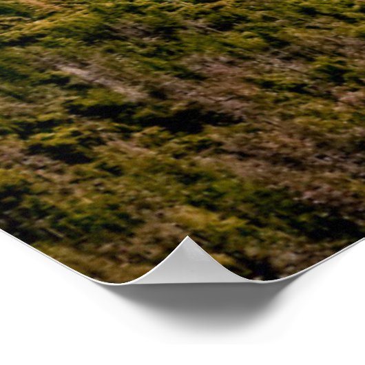 Waterval | Nationaal park Yosemite Valley Poster (Hoek)