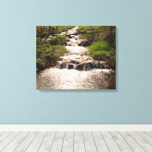 Waterval Natuur Bossen Fotografie Canvas Print MN (Insitu (Houten vloer))