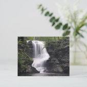 Waterval Natuur Tree Leaf Peace Love Park Destiny Briefkaart (Staand voorkant)