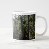 Waterval | Nevada Herfst, Yosemite, CA Grote Koffiekop (Rechts)