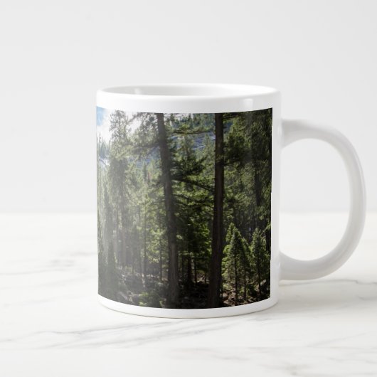 Waterval | Nevada Herfst, Yosemite, CA Grote Koffiekop (Rechts)