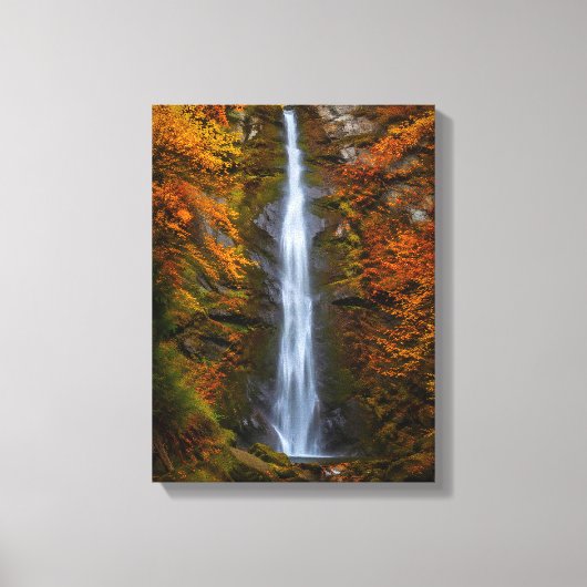 Waterval nr. 1, Canvasprint van de Watervalserie Canvas Afdruk (Voorkant)