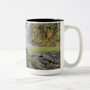Waterval Oasis Mok - Groene Woud en Rocky Strea