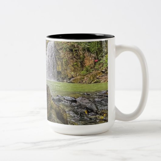 Waterval Oasis Mok - Groene Woud en Rocky Strea (Rechts)