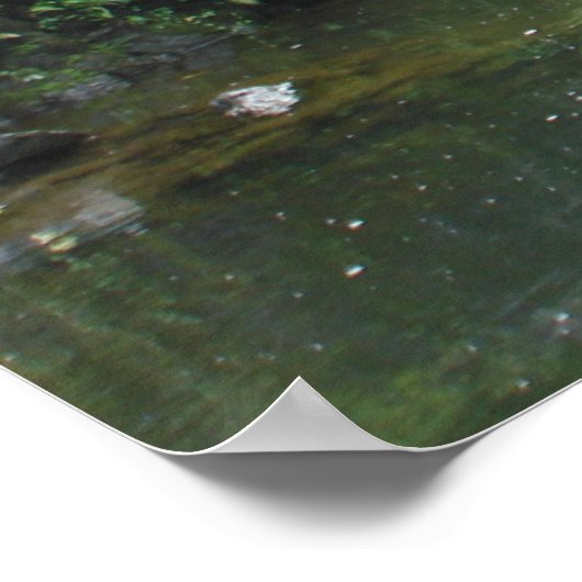 Waterval onder Bridge Poster (Hoek)