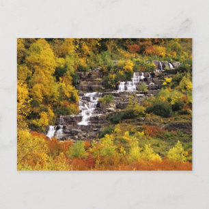 Waterval onder Mt Cannon in Glacier National Briefkaart