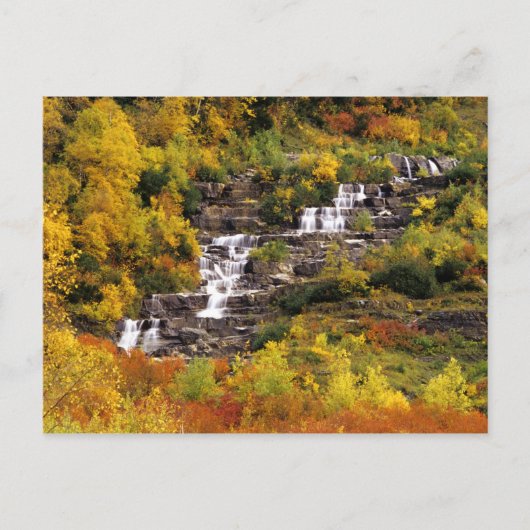 Waterval onder Mt Cannon in Glacier National Briefkaart (Voorkant)