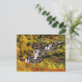 Waterval onder Mt Cannon in Glacier National Briefkaart (Staand voorkant)