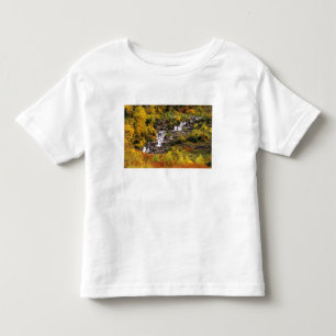 Waterval onder Mt Cannon in Glacier National Kinder Shirts