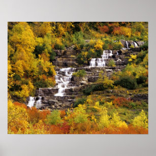 Waterval onder Mt Cannon in Glacier National Poster