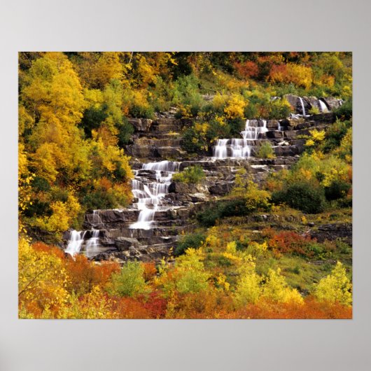 Waterval onder Mt Cannon in Glacier National Poster (Voorkant)