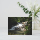 Waterval op de activa van Pemigewasset Briefkaart (Staand voorkant)