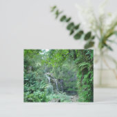 Waterval op de weg naar het Briefkaart Hana (Staand voorkant)