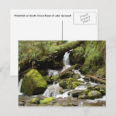 Waterval op South Shore Road bij Lake Quinault Briefkaart (Voorkant / Achterkant)